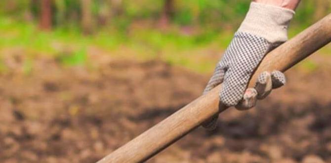 Best practices for soil maintenance how to make your own soil for vegetable gardens Best practices for soil maintenance how to make your own soil for vegetable gardens