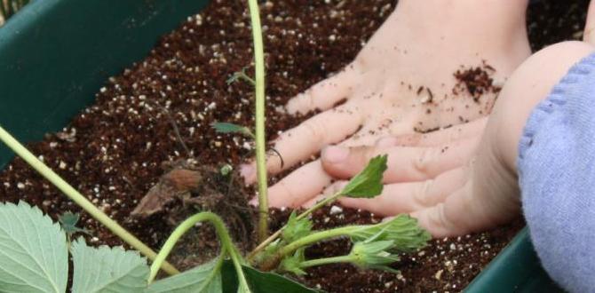Boosting cognitive development benefits of gardening for preschoolers