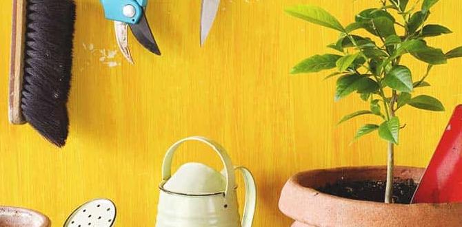 Budgetfriendly christmas gifts for gardeners christmas gifts for gardeners Budgetfriendly christmas gifts for gardeners christmas gifts for gardeners