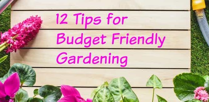 Budgetfriendly gardening solutions gardens for front of house
