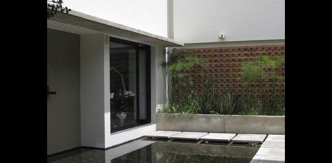 Budgetfriendly pond options garden pond ideas for small gardens Budgetfriendly pond options garden pond ideas for small gardens