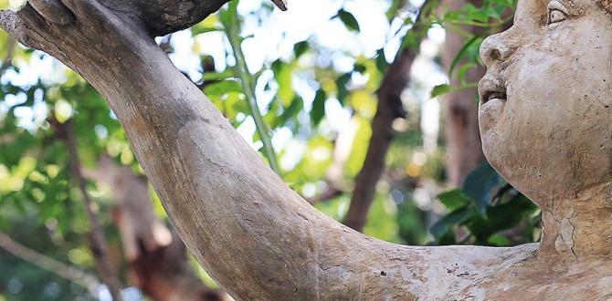 Budgeting for garden statues outdoor statues for gardens Budgeting for garden statues outdoor statues for gardens