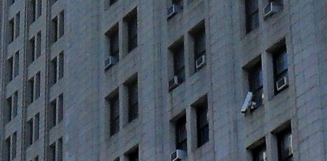 Building diy pallet garden projects pallet ideas for gardens Building diy pallet garden projects pallet ideas for gardens