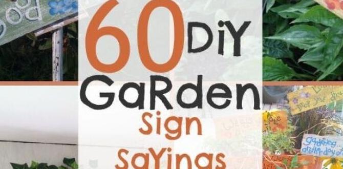 Buying vs making your own outdoor garden signs outdoor signs for gardens Buying vs making your own outdoor garden signs outdoor signs for gardens