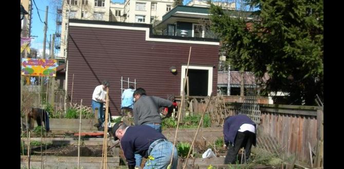Case studies of successful community gardens grants for community gardens Case studies of successful community gardens grants for community gardens