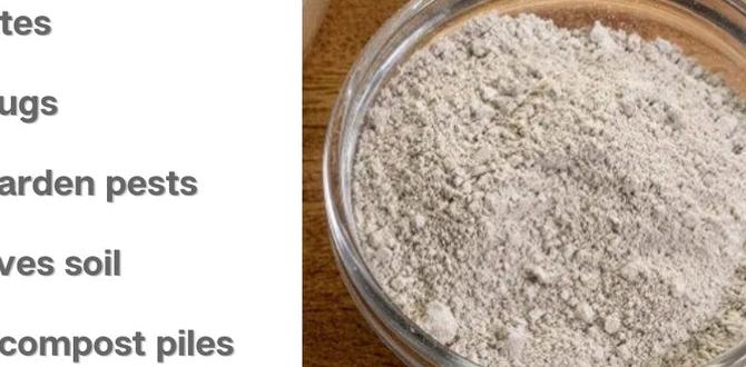 Case studies: success stories from gardeners diatomaceous earth for gardening
