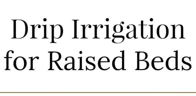 Case studies: successful implementation of drip irrigation drip irrigation for raised beds gardening Case studies: successful implementation of drip irrigation drip irrigation for raised beds gardening