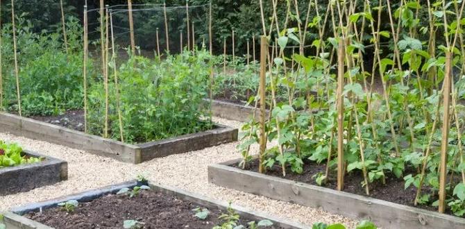 Choosing plants for your raised garden raised gardening for beginners