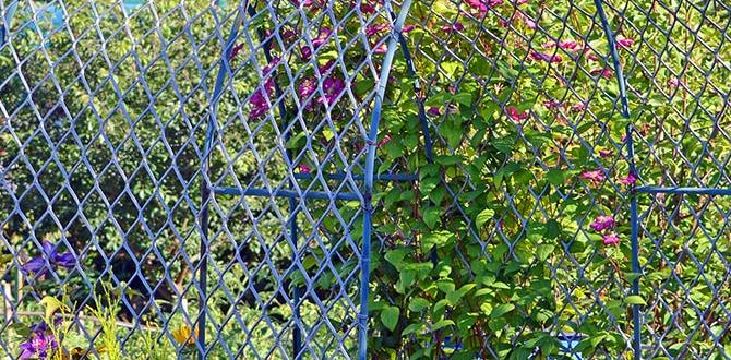 Choosing the right arch for your garden arches for gardens Choosing the right arch for your garden arches for gardens