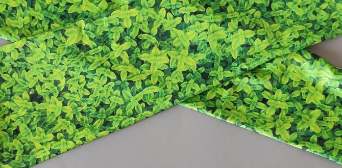 Choosing the right arm sleeves for your gardening needs arm sleeves for gardening Choosing the right arm sleeves for your gardening needs arm sleeves for gardening