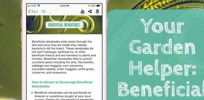 Choosing the right beneficial nematodes for your garden beneficial nematodes for vegetable gardens Choosing the right beneficial nematodes for your garden beneficial nematodes for vegetable gardens