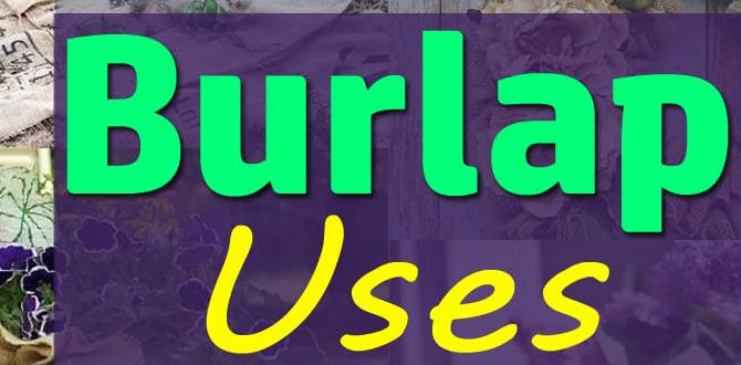 Choosing the right burlap for your garden burlap for gardens Choosing the right burlap for your garden burlap for gardens