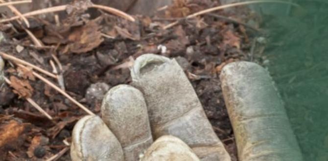 Choosing the right compost for your garden compost for gardens