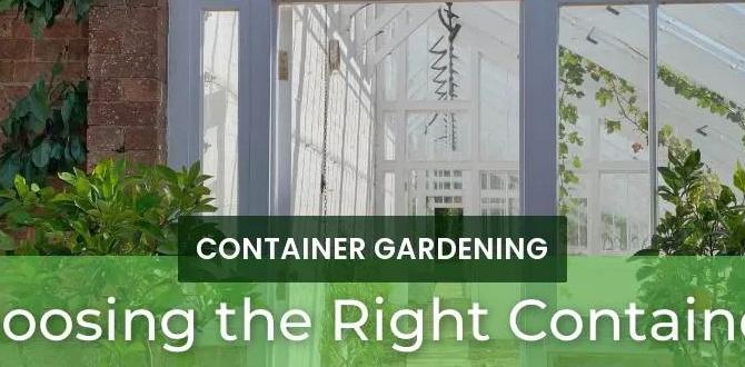 Choosing the right container size for your plants inexpensive containers for gardening