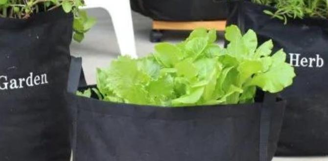 Choosing the right containers container gardens for beginners