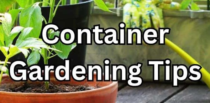Choosing the right containers flower container gardening for beginners Choosing the right containers flower container gardening for beginners