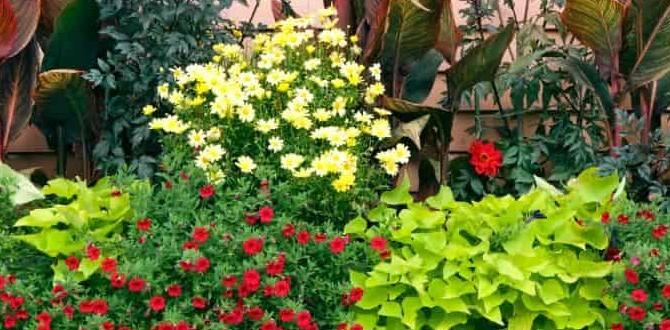 Choosing the right containers plant combination ideas for container gardens
