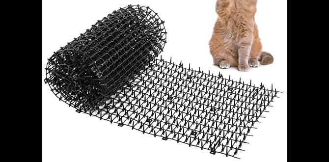 Choosing the right deterrent for your garden dog deterrents for gardens Choosing the right deterrent for your garden dog deterrents for gardens