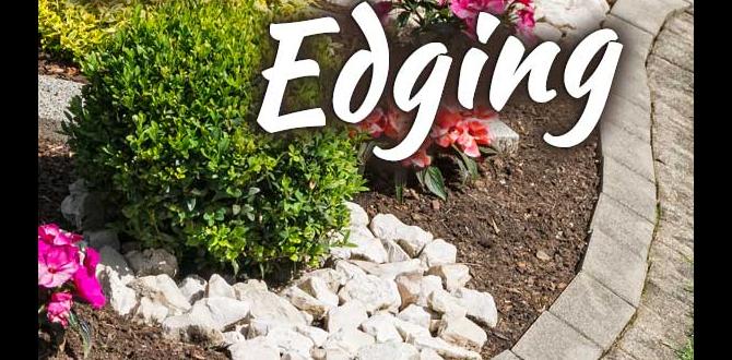 Choosing the right edge stones for your garden edge stones for gardens Choosing the right edge stones for your garden edge stones for gardens