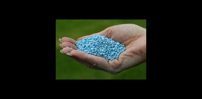 Choosing the right fertilizer fertilizer for container gardening Choosing the right fertilizer fertilizer for container gardening
