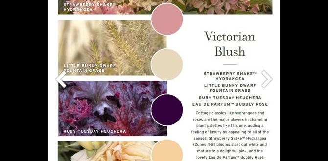 Choosing the right flowers for your color scheme color schemes for flower gardens Choosing the right flowers for your color scheme color schemes for flower gardens