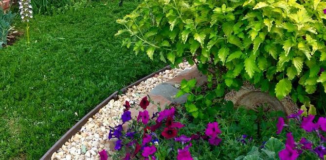 Choosing the right ground cover for your garden ground cover for gardens Choosing the right ground cover for your garden ground cover for gardens