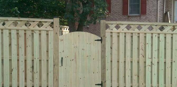 Choosing the right height for your garden fence fencing for gardens Choosing the right height for your garden fence fencing for gardens
