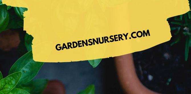 Choosing the right herbs herb gardens for beginners Choosing the right herbs herb gardens for beginners