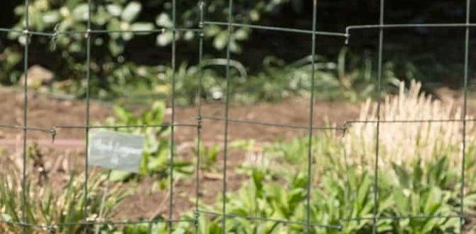 Choosing the right location easy gardening tips for beginners Choosing the right location easy gardening tips for beginners