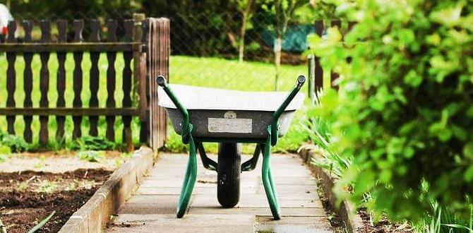 Choosing the right location for your garden gardening for self sufficiency Choosing the right location for your garden gardening for self sufficiency