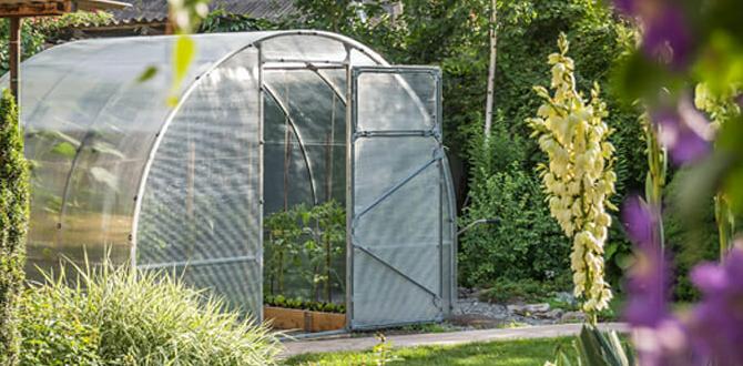 Choosing the right location for your greenhouse greenhouse for gardening Choosing the right location for your greenhouse greenhouse for gardening