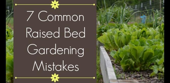 Choosing the right location for your raised bed raised bed gardening for beginners Choosing the right location for your raised bed raised bed gardening for beginners