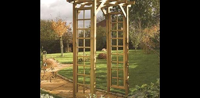 Choosing the right location for your wooden arch wooden arches for gardens Choosing the right location for your wooden arch wooden arches for gardens