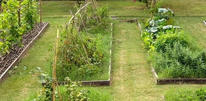 Choosing the right location gardening tips for vegetables Choosing the right location gardening tips for vegetables
