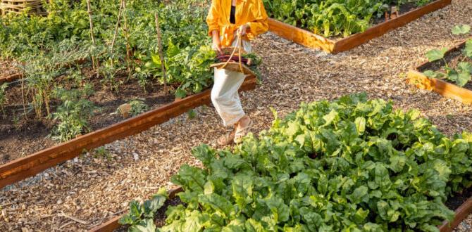 Choosing the right location how to build a raised bed for gardening Choosing the right location how to build a raised bed for gardening
