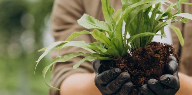 Choosing the right location how to start gardening for beginners Choosing the right location how to start gardening for beginners