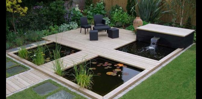 Choosing the right location pond designs for small gardens Choosing the right location pond designs for small gardens