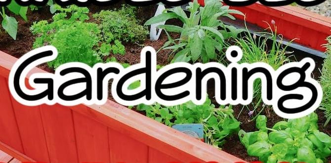 Choosing the right location raised gardening for beginners