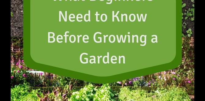 Choosing the right location vegetable gardens for beginners