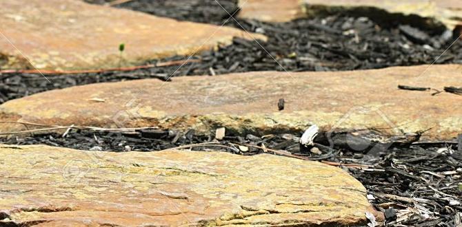 Choosing the right material stepping stones for gardens Choosing the right material stepping stones for gardens