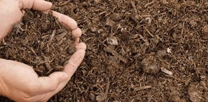 Choosing the right mushroom compost for your garden mushroom compost for gardening