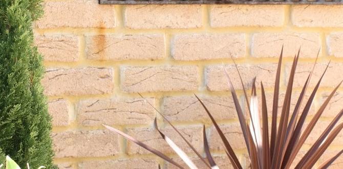 Choosing the right outdoor wall art outdoor wall art for gardens Choosing the right outdoor wall art outdoor wall art for gardens