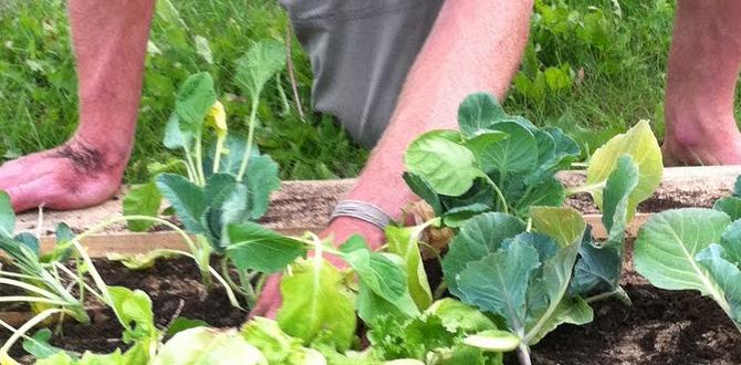 Choosing the right pallet for gardening pallets for gardening
