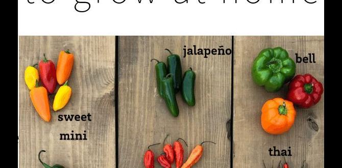 Choosing the right pepper varieties gardening tips for peppers Choosing the right pepper varieties gardening tips for peppers
