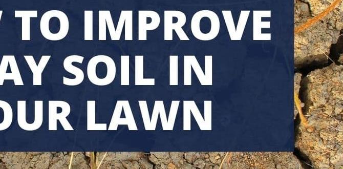Choosing the right plants for clay soil how to improve clay soil for gardening Choosing the right plants for clay soil how to improve clay soil for gardening