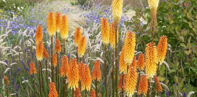 Choosing the right plants for fall gardening for fall