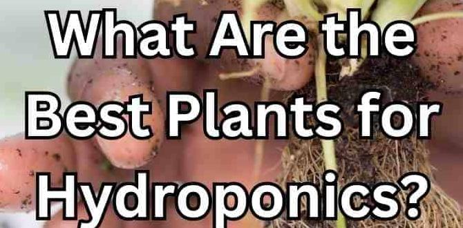 Choosing the right plants for hydroponics hydroponic gardening for beginners Choosing the right plants for hydroponics hydroponic gardening for beginners