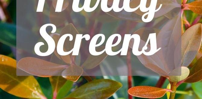 Choosing the right plants for privacy privacy for gardens