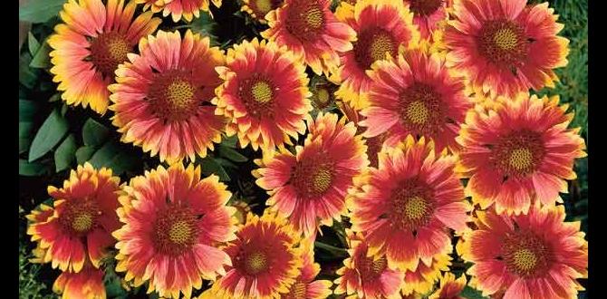 Choosing the right plants for sandy soil sand for gardening soil Choosing the right plants for sandy soil sand for gardening soil