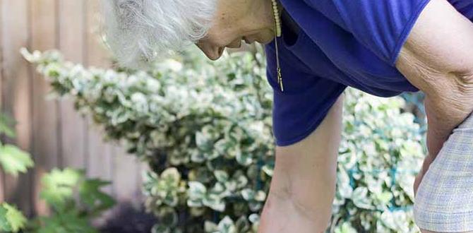 Choosing the right plants for senior gardeners gardening for seniors Choosing the right plants for senior gardeners gardening for seniors